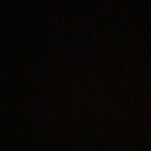 Meet your Posher, Rayray